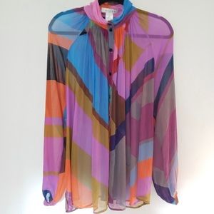 Anthropologie Hiche colorblock button sheer top
